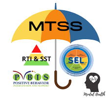What is MTSS?
